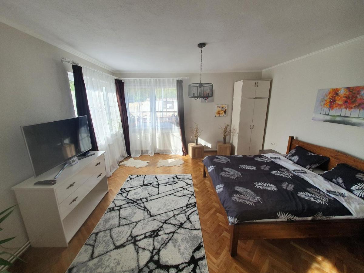 Andrea apartman Sfântu-Gheorghe Eksteriør billede