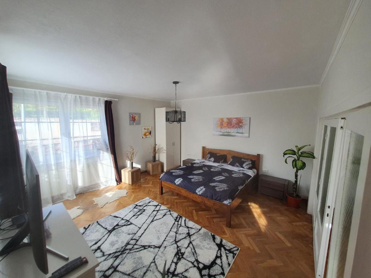 Andrea apartman Sfântu-Gheorghe Eksteriør billede
